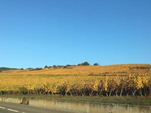 Appartements Apartment Cali Elina : photos des chambres