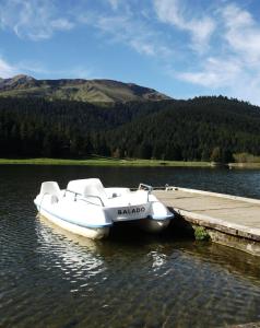 Maisons de vacances Gite Du Montagnol A Payolle : photos des chambres