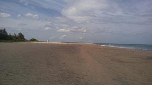 Light House Beach Hut
