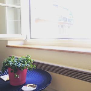 In Swiss Home - Rathaus from 1284 historical Apartment