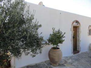 Villa Phaestias Heraklio Greece