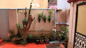 Chackalakkal Home Stay
