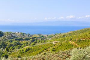 Villa Marigo Skiathos Greece