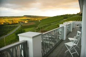 Winzerhotel Trautwein - Biebelsheim