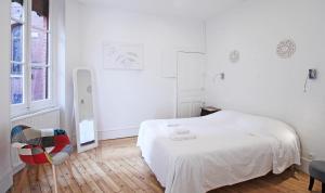 Toulouse - Alsace Lorraine - Languedoc-Place du Salin-Muséum Histoire naturelle- Jardin des plantes-Musée Augustins- Palais de Justice station métro Carmes ligne B