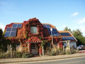 Ferienhaus Menschen, Meehr & Wilder Wein