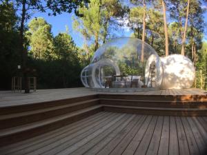 B&B / Chambres d'hotes Les Bulles De Bordeaux : photos des chambres