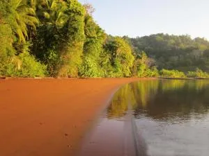 Jungle Retreat - Charcos