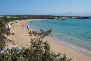 Villa Veni Paros Greece