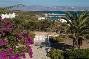 Villa Veni Paros Greece