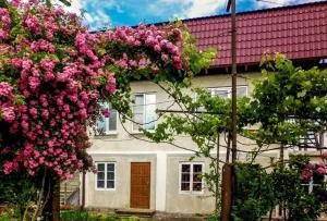 Guest House ANNA - Lechʼkʼopʼi