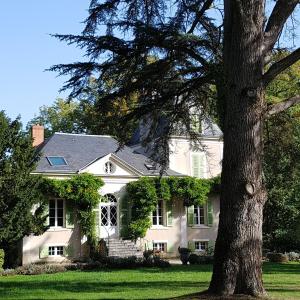 Maisons d'hotes Chateau de La Villette : photos des chambres