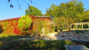 B&B / Chambres d'hotes Chambre Lascaux aux Meulieres a Domme : photos des chambres