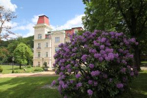 Accommodation in Pardubický