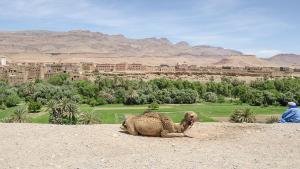 Auberge Hostel Traditionnel