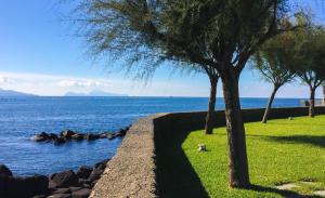 Palazzo dei Concerti