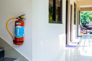 Lazy Frog Guest House