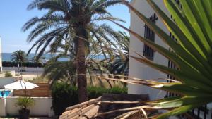 Apartamentos Playa D y G