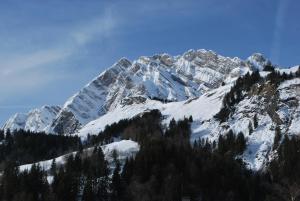 Chalets Le Flocon des Aravis : photos des chambres