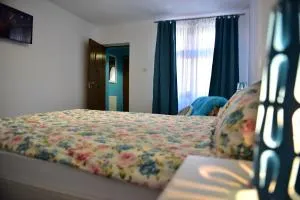 Old City Studio - 锡比乌