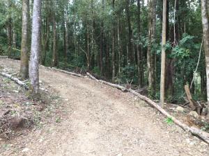 Casa, bosque, vista al volcán, playa privada compartida, 2 familias