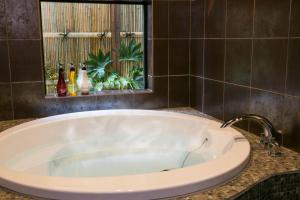 Hosta Umekoji Miyabi