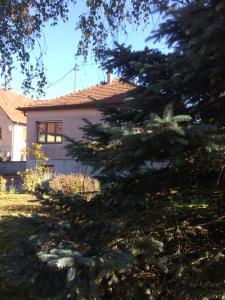 Accommodation in Surbourg