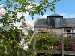 Plumtree Cottage - Leitholm