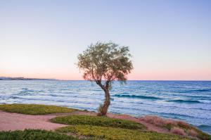 Ariadne Beach Hotel Heraklio Greece