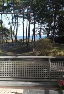 Villa Darja - Ferienwohnung Meerblick