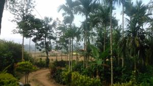 Simply Coorg Estate Villa