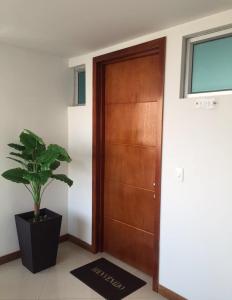 Palmetto Luxury