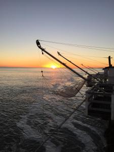 Maisons de vacances Pavillon Farniente : photos des chambres