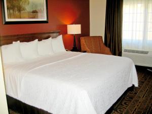 Deluxe King Room room in Savanna Inn & Suites