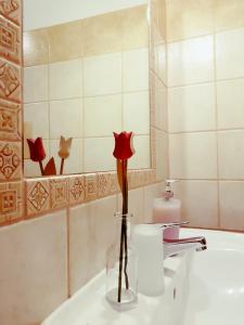 Agriturismo Chiai Francesco img29