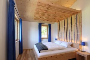 Chalet Alm Planai