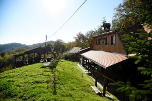 Lodge Green paradise