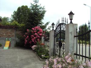 Amfora Guest House