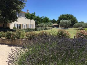 B&B / Chambres d'hotes La Bastide au Ventoux : photos des chambres