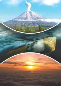 Venezia Homestay and Garden