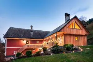 Homestead farm Tešnak - 采尔克诺