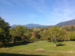 Maisons de vacances Le Clos du Haslach : photos des chambres