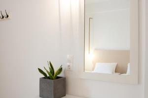 Paris Studios & Apartment Skiathos Greece