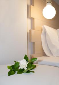 Paris Studios & Apartment Skiathos Greece