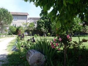 Maisons de vacances L'Olivier Chez Mame Marthe : photos des chambres