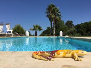 B&B / Chambres d'hotes Escapades Lointaines : photos des chambres