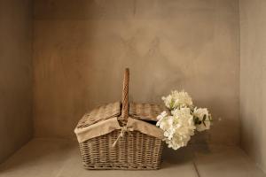 B&B / Chambres d'hotes Chateau le Bouis : photos des chambres