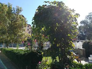 Hotel Park 1