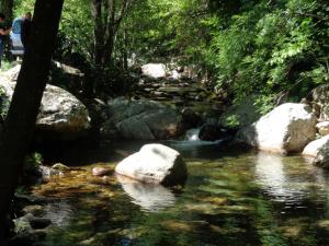 Appartements Apartment Maison Fanjeaud : photos des chambres