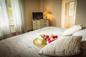 B&B / Chambres d'hotes Chateau le Bouis : photos des chambres